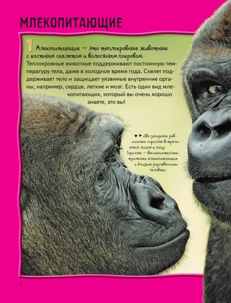 Животные фото книги 7