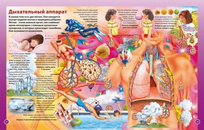 Тело человека. Первая энциклопедия для детей фото книги 6