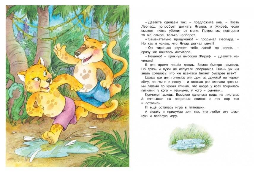 Ромашки в январе фото книги 7