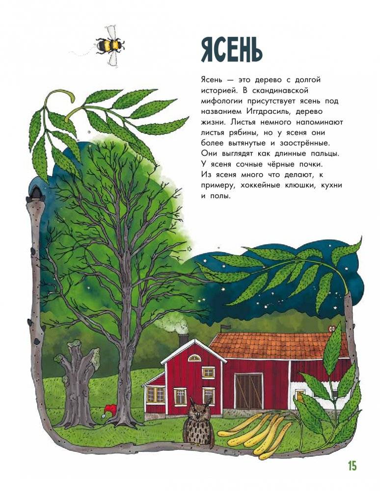 Деревья фото книги 5