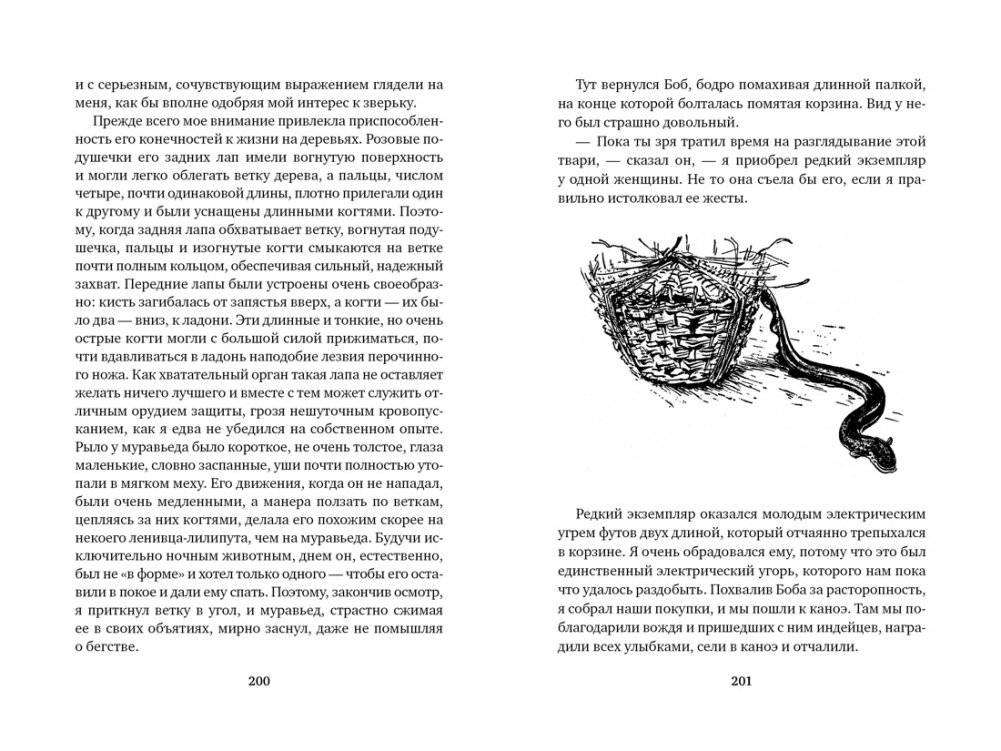 Три билета до Эдвенчер. Под пологом пьяного леса фото книги 9