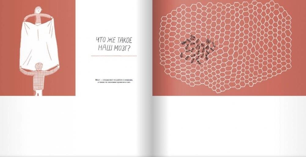 Что там внутри? Путеводитель по нашему мозгу фото книги 6