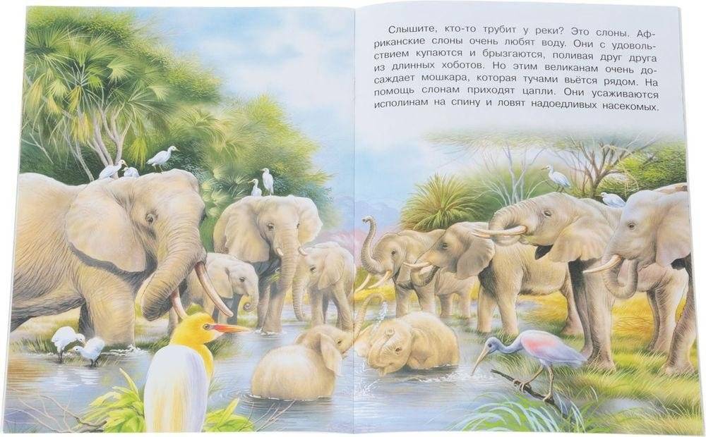 В Африке фото книги 2