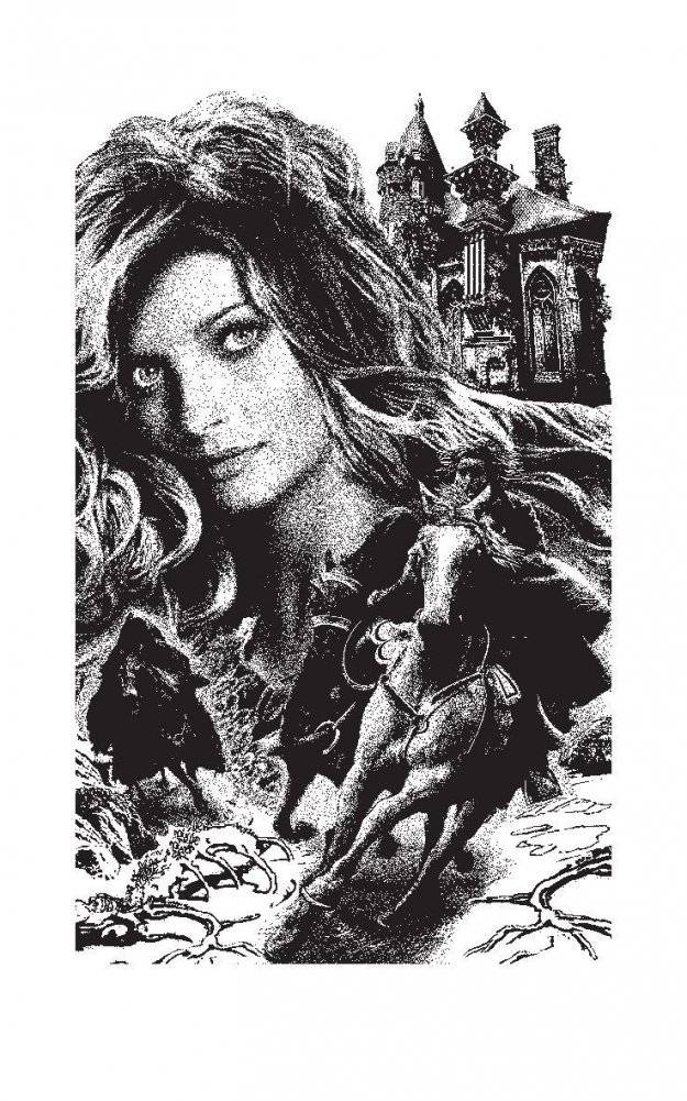 Северная невеста фото книги 3