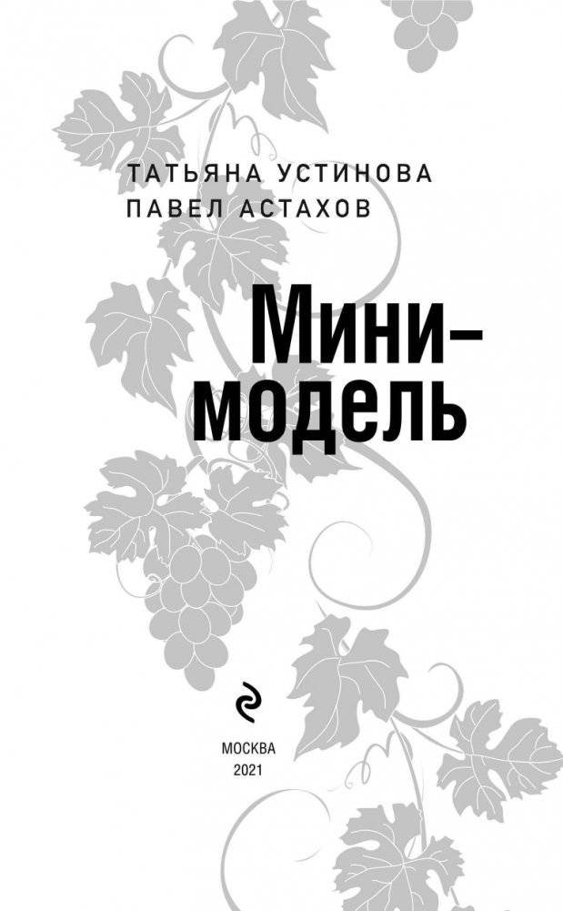 Мини-модель фото книги 5