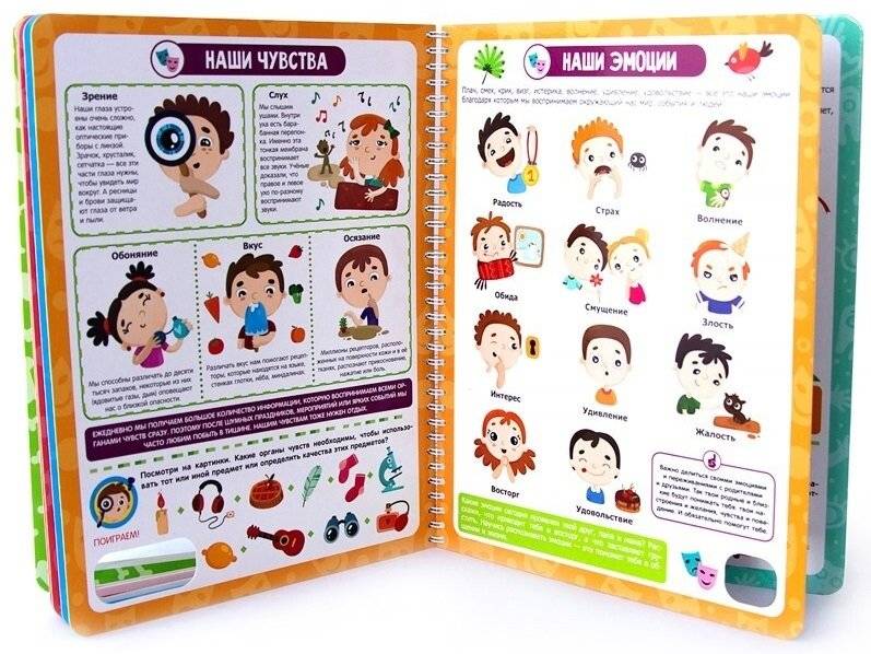 Почему бьётся сердце? Анатомия для детей. Энциклопедия. Книжка на пружине фото книги 2