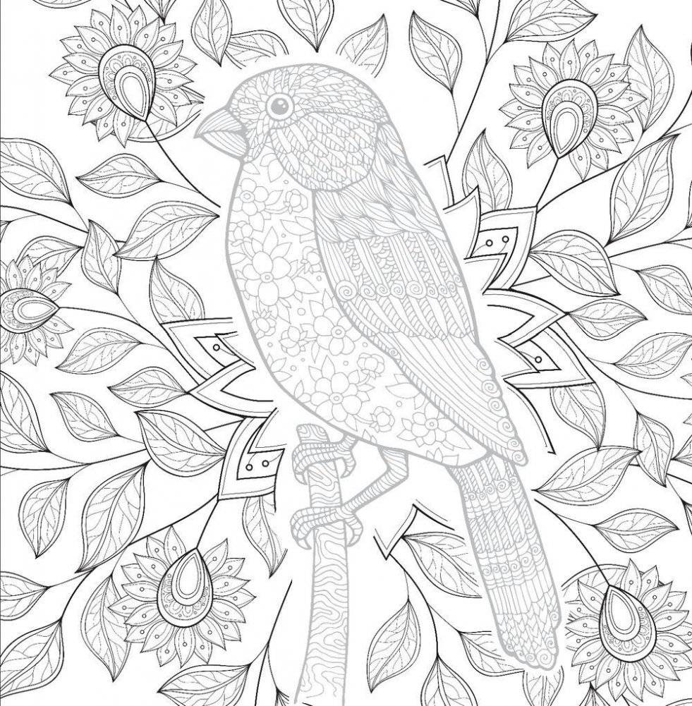 Свет и тень. Творческая раскраска с черно-белым фоном фото книги 7