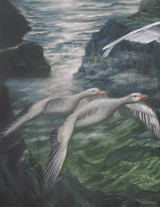 Чудесное путешествие Нильса с дикими гусями. 100 лучших книг фото книги 5