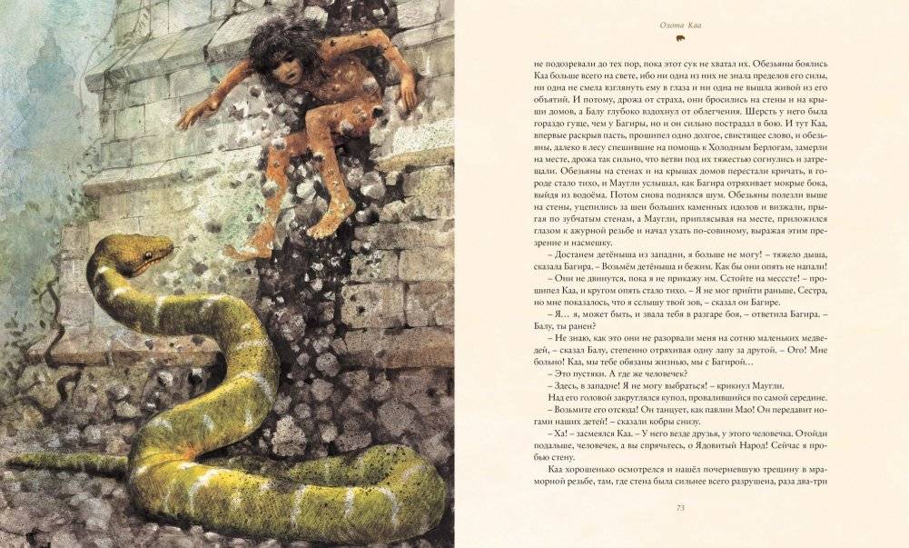 Книга джунглей фото книги 6