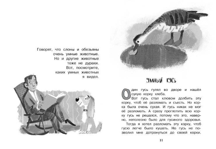 Рассказы для детей фото книги 4