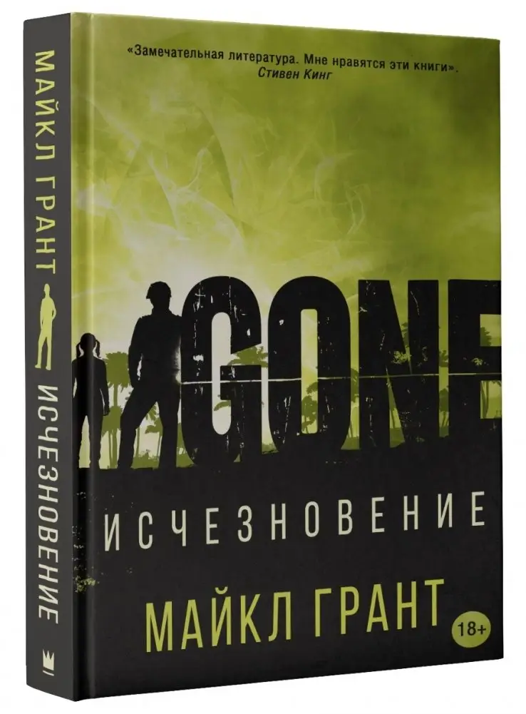 Исчезновение фото книги