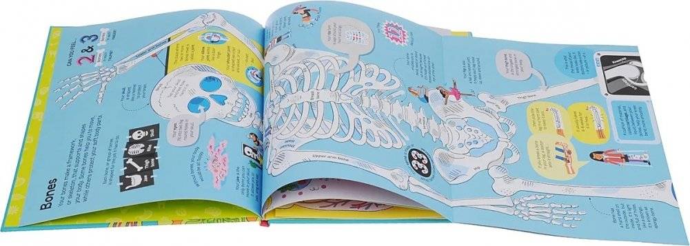 Big Book of the Body фото книги 2