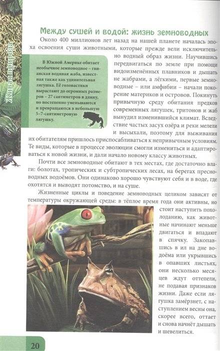 Живая природа фото книги 4