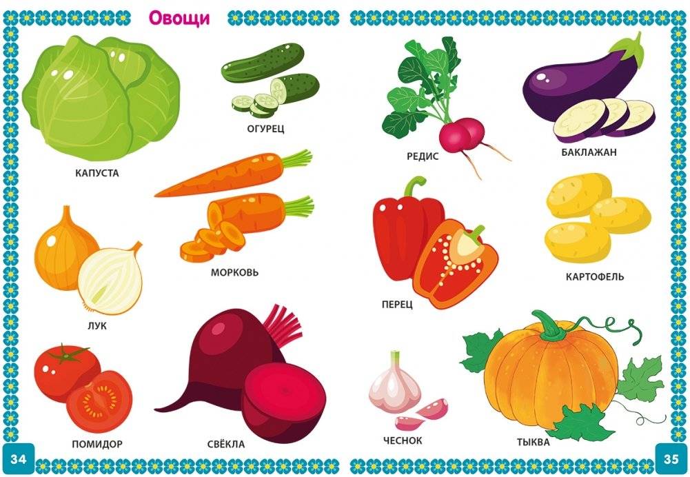 Энциклопедия для детей от 6 месяцев до 3 лет фото книги 4