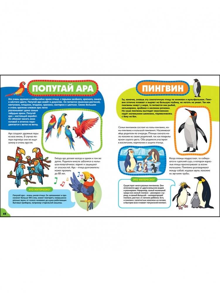 Птицы для самых маленьких. Лучшая энциклопедия для малышей фото книги 9