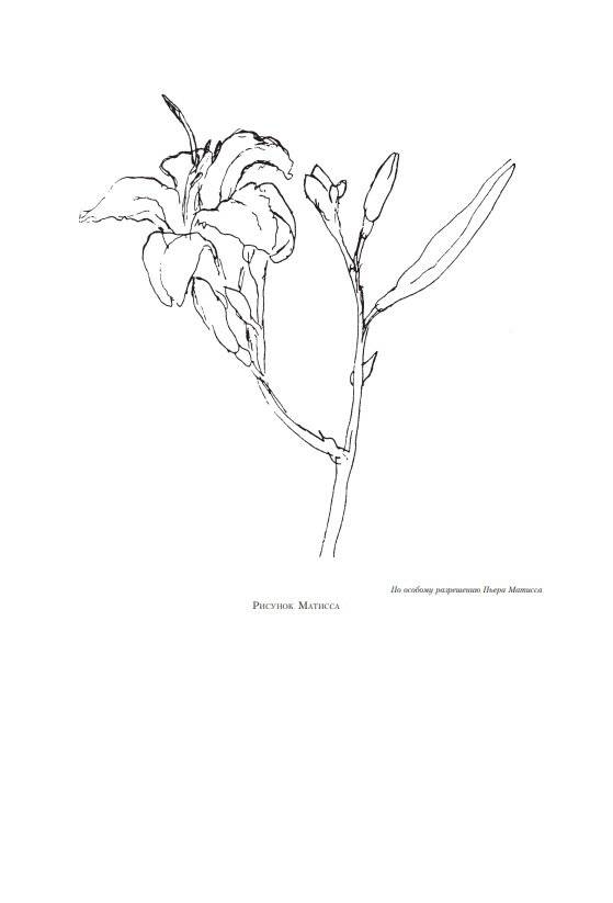 Естественный путь к рисованию фото книги 9