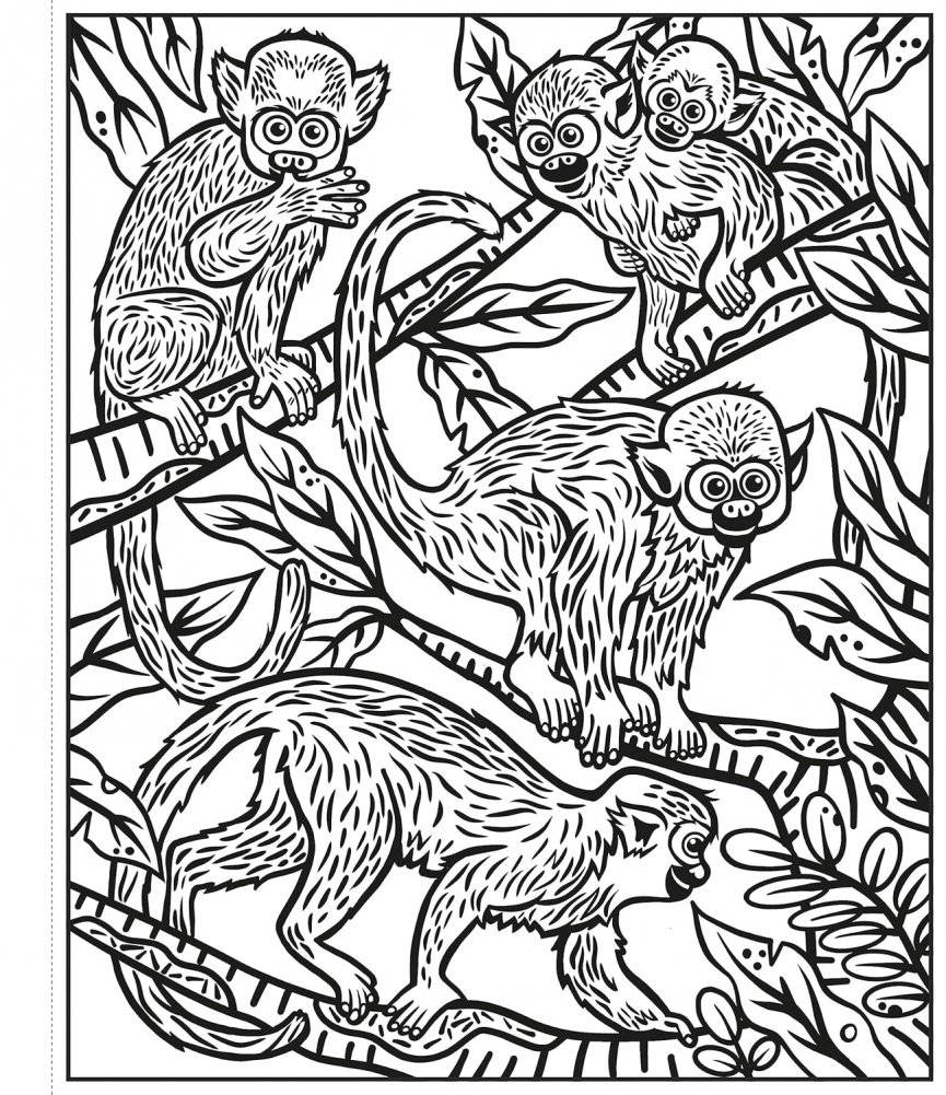 Rainforest Magic Painting Book фото книги 5