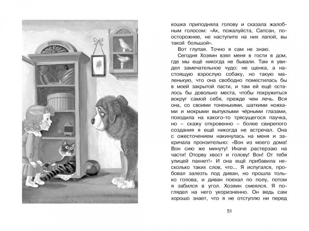 Белый пудель фото книги 4