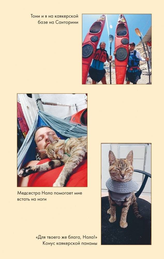 Мир Налы фото книги 5