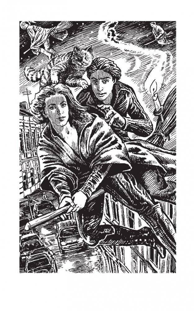 Эльф ведьме не товарищ фото книги 2