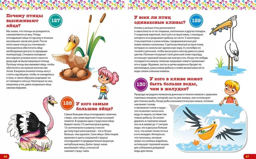 Книга-подарок для маленьких любознашек. Детская энциклопедия фото книги 5