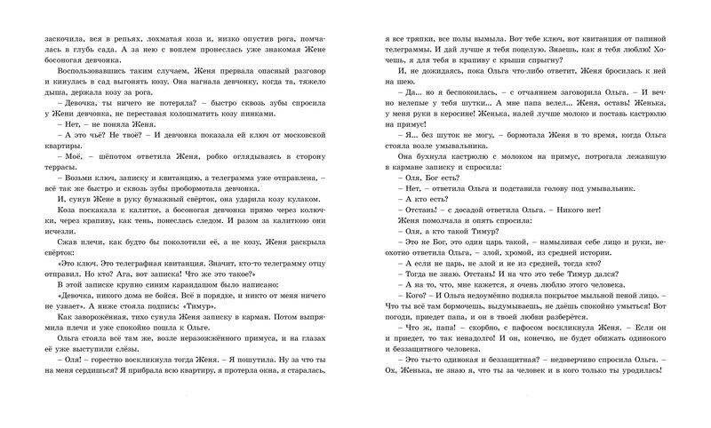 Тимур и его команда фото книги 3