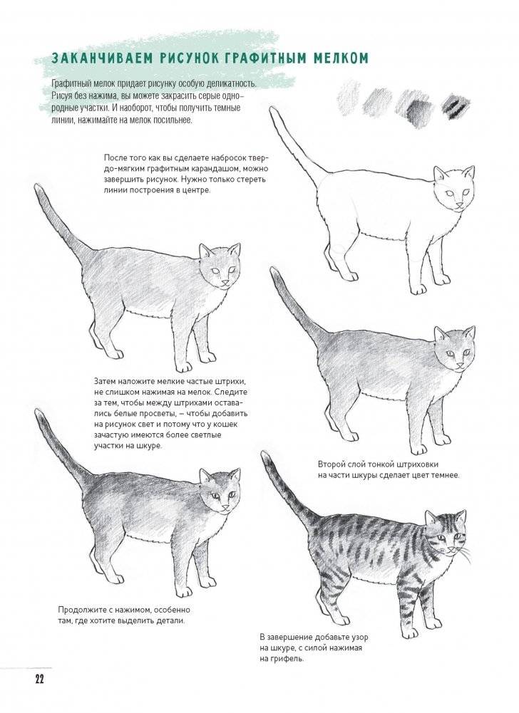 Создаем наброски животных и птиц шаг за шагом. Скетчбук начинающего художника (зеленый, зебра) фото книги 6