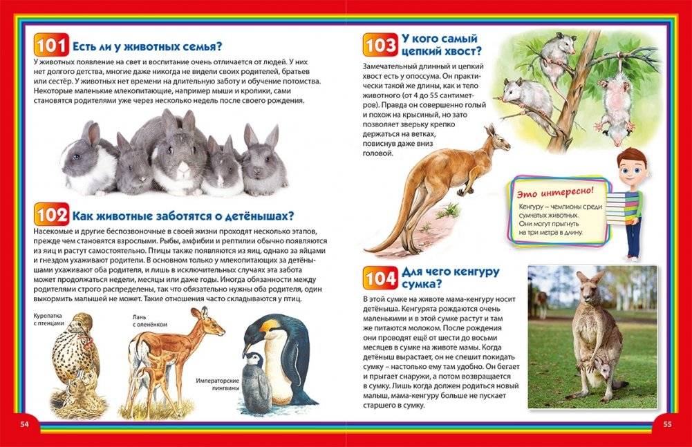 Энциклопедия для маленьких почемучек и любознашек фото книги 4