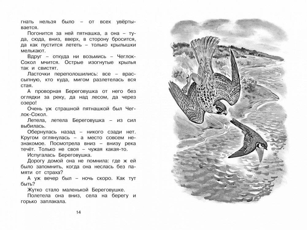 Как Лис Ежа перехитрил фото книги 3