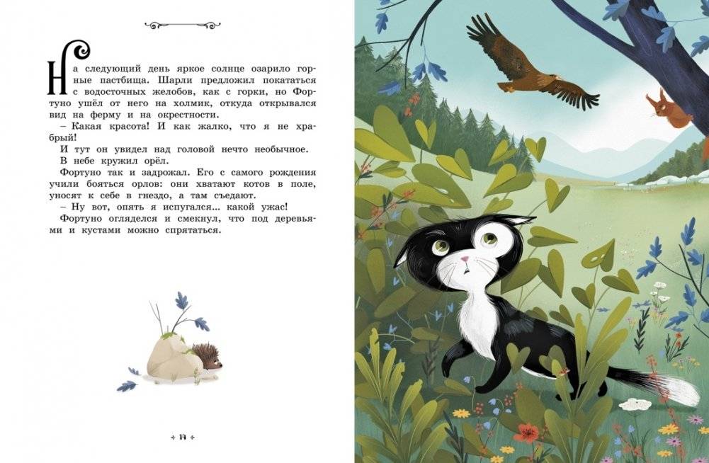 Котёнок, который всего боялся. Сказки премудрой совы фото книги 6