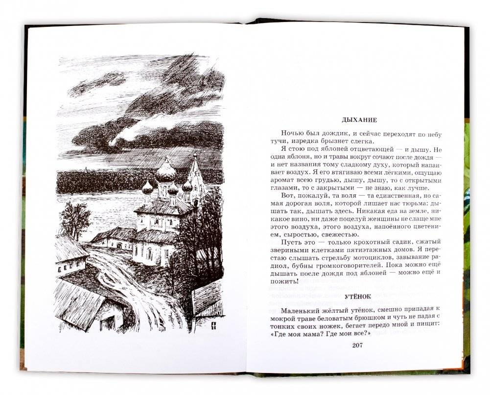 Матренин двор фото книги 6