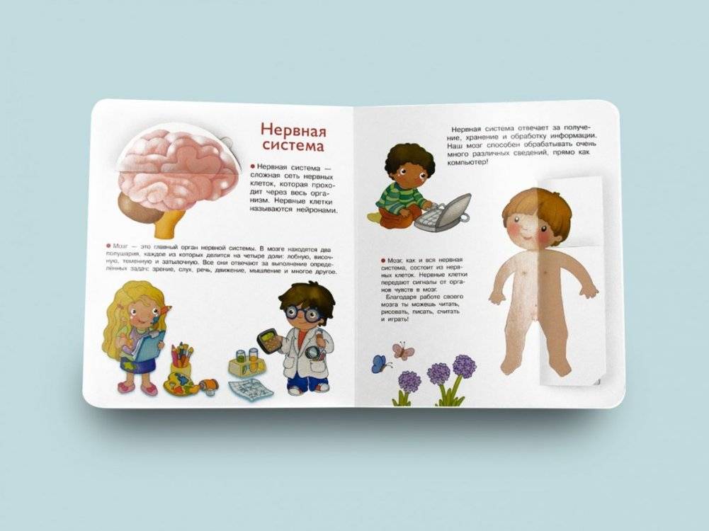 Что? Почему? Зачем? Наше тело фото книги 3