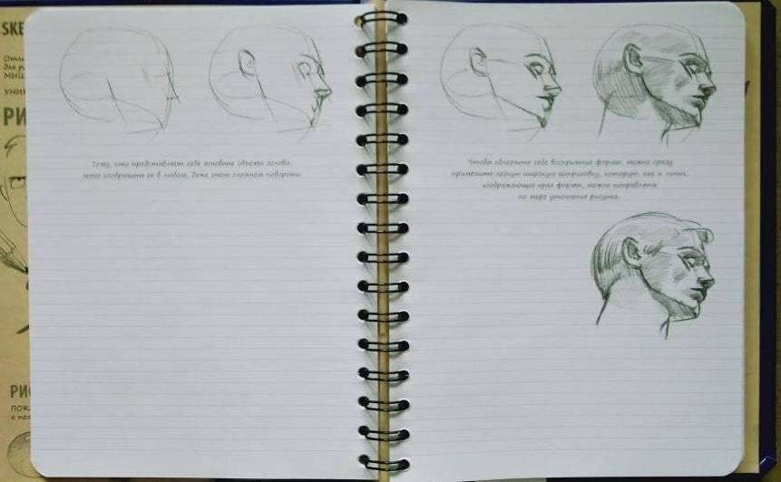 SketchBook. Рисуем человека. Экспресс-курс рисования фото книги 3