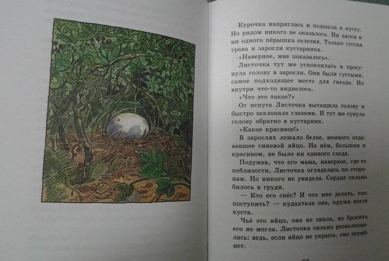 Курочка, которая мечтала летать фото книги 5