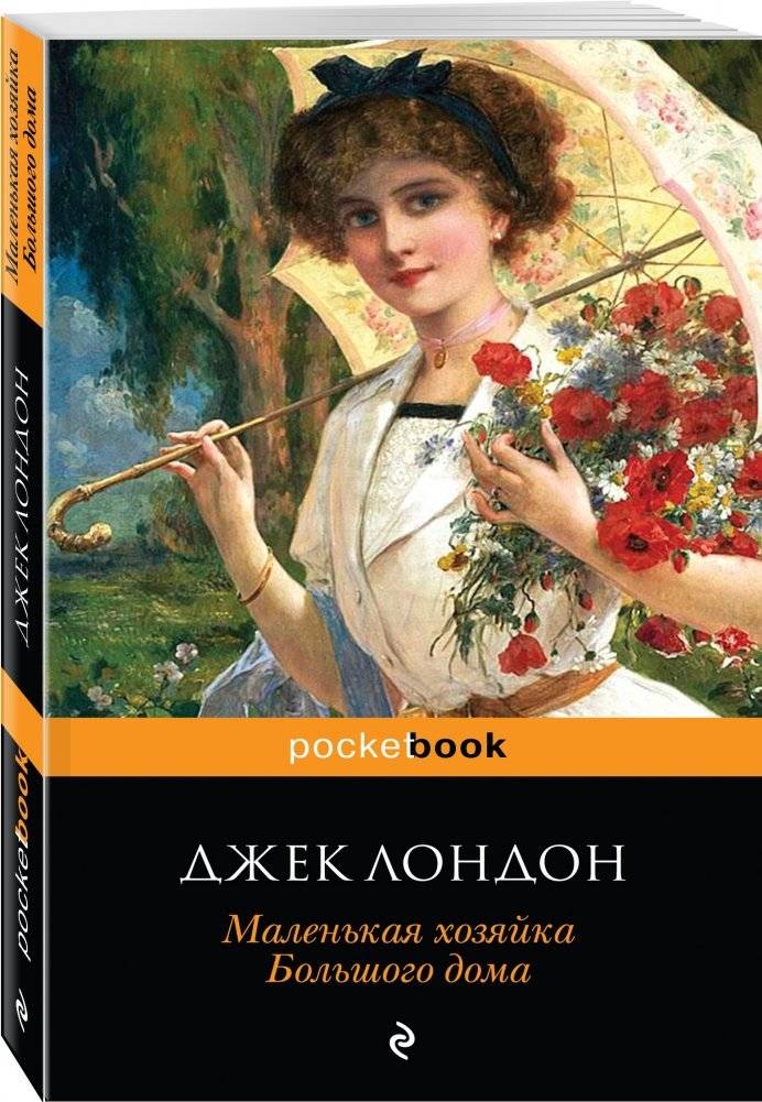 Маленькая хозяйка Большого дома фото книги 2