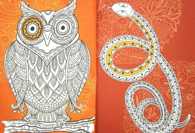 Мир животных. Арт-раскраска фото книги 2