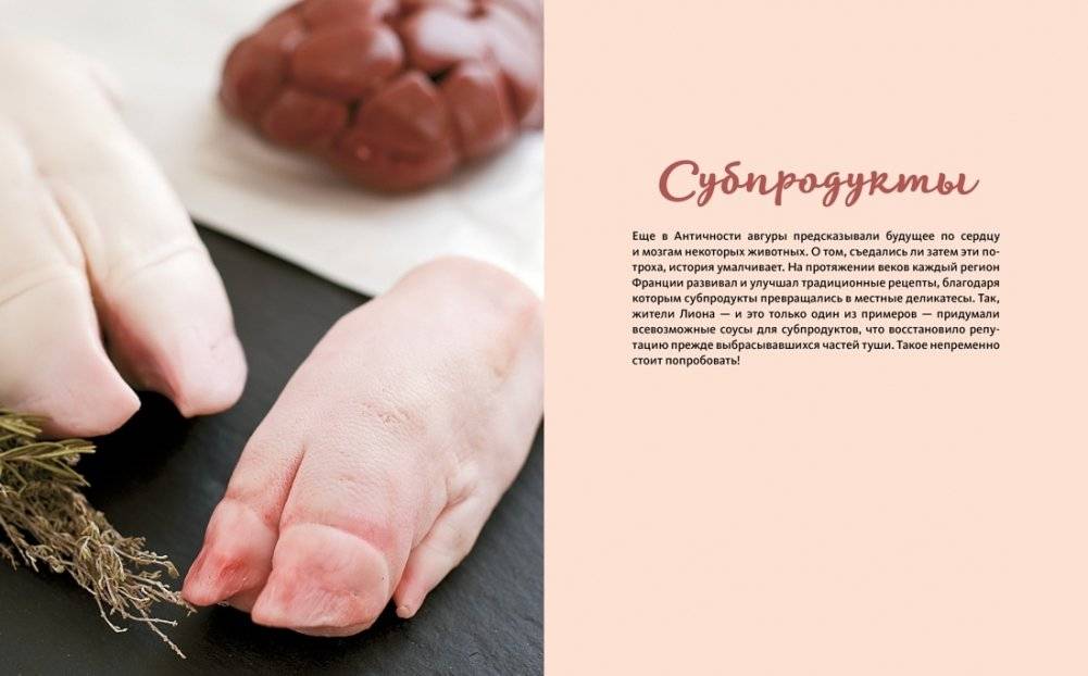 Домашние мясные деликатесы: Закуски, паштеты, колбаски, ветчина фото книги 4