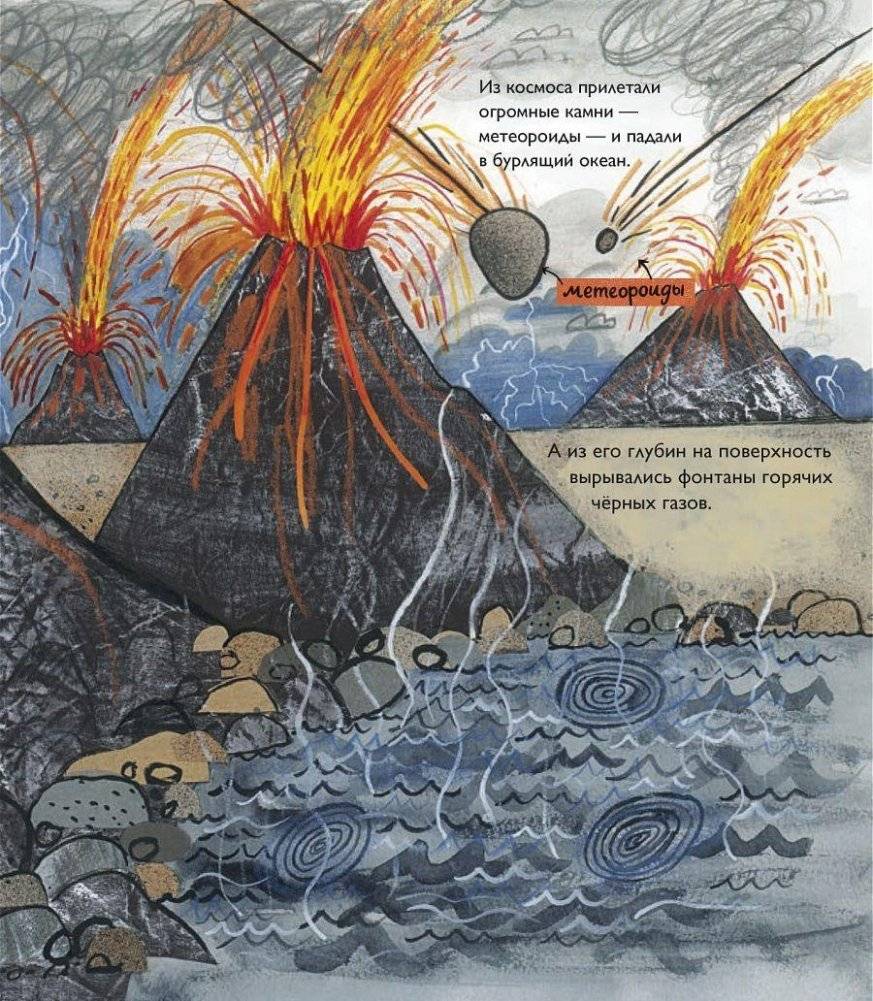 История жизни. Моя первая книга об эволюции фото книги 4