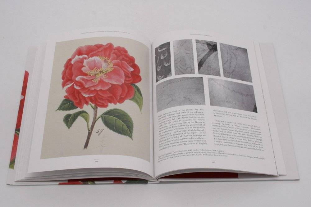 RHS John Reeves: Pioneering Collector of Chinese Plants and Botanical Art фото книги 5