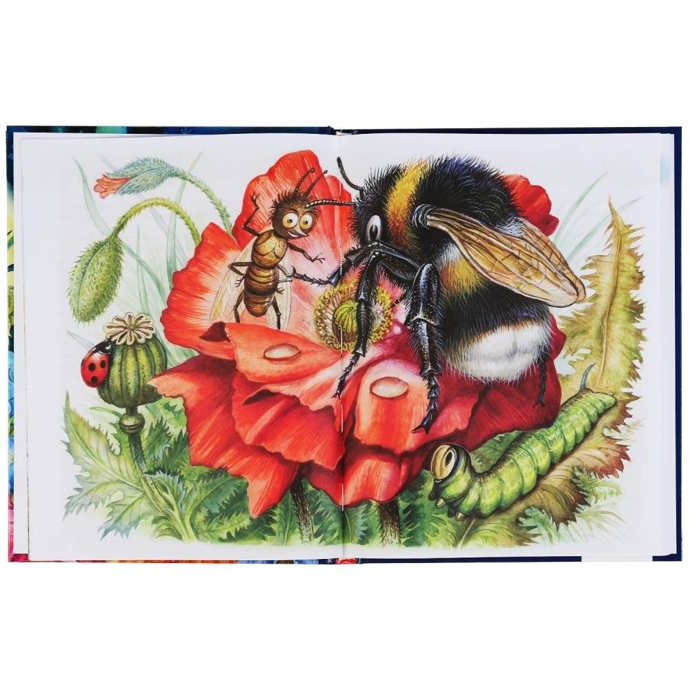 Аленушкины сказки фото книги 4