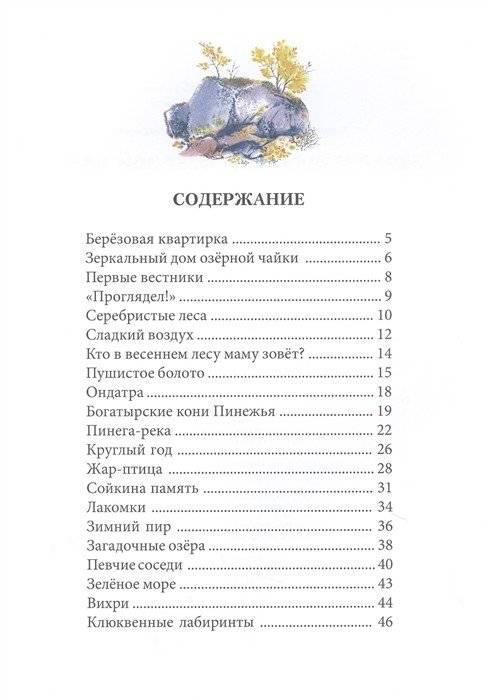 Зеркальный дом озёрной чайки фото книги 2