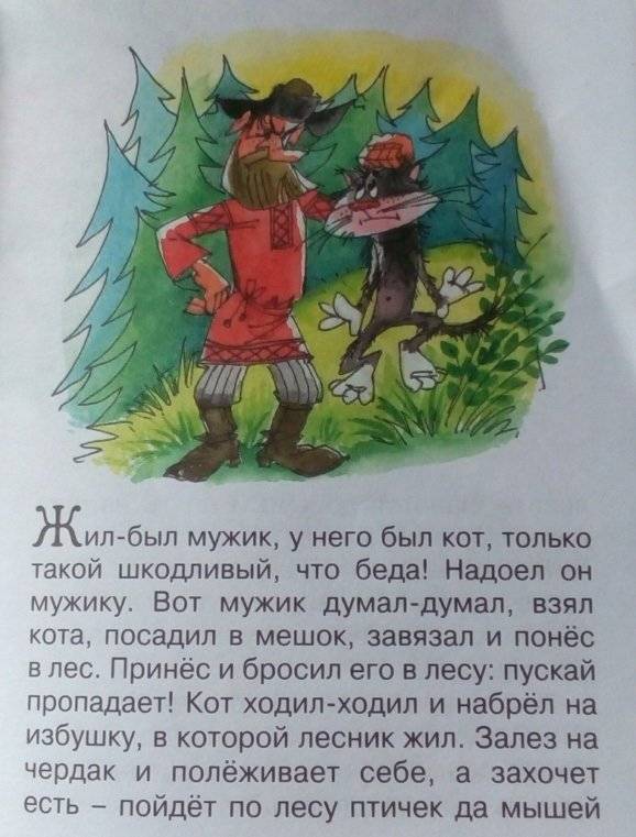 Кот и Лиса фото книги 5