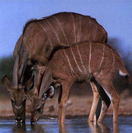 Дочки-матери фото книги 2