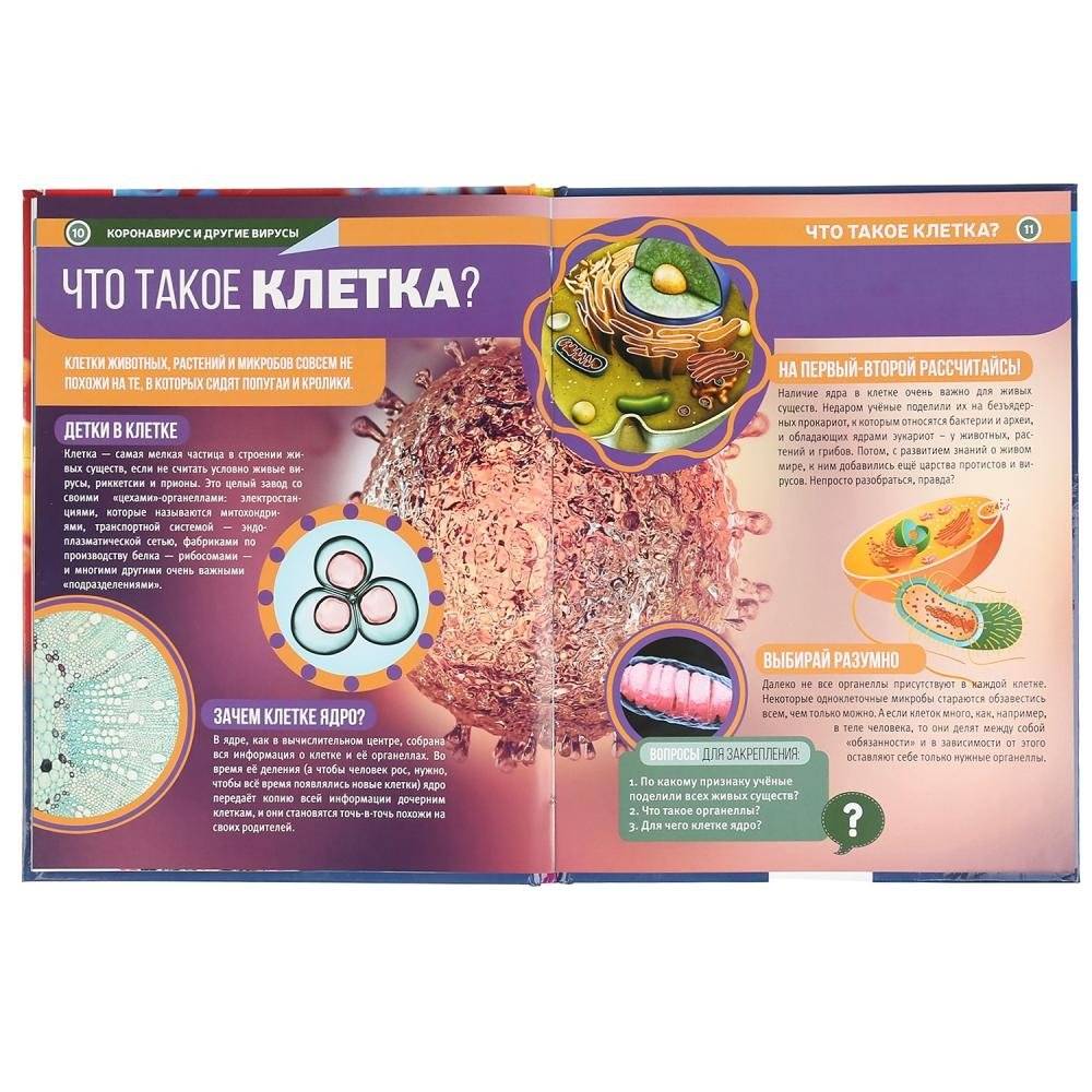 Коронавирус и другие вирусы фото книги 5