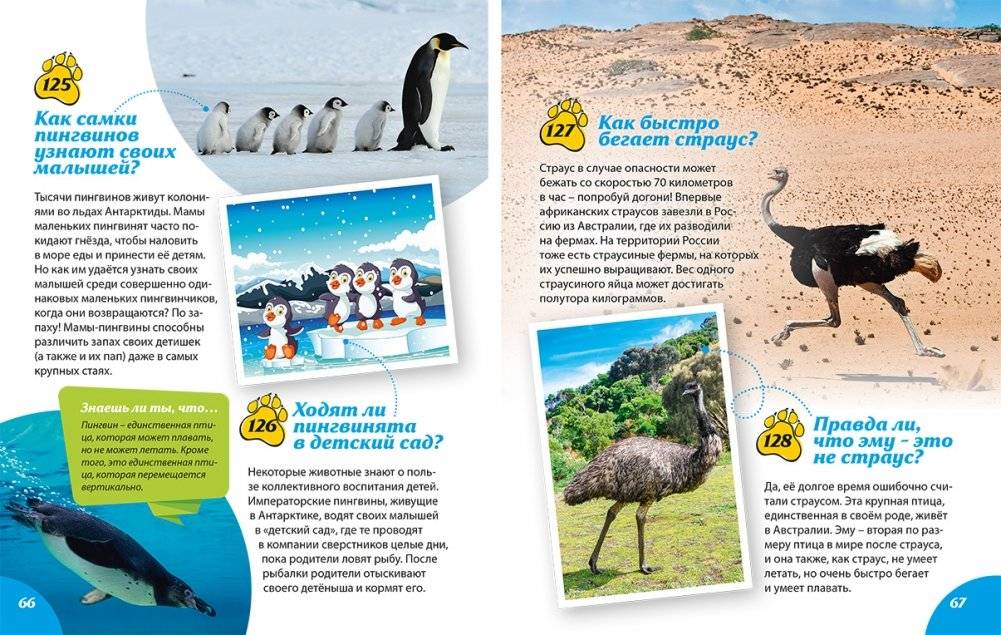 Как? Почему? Зачем? Новая книга вопросов и ответов фото книги 6