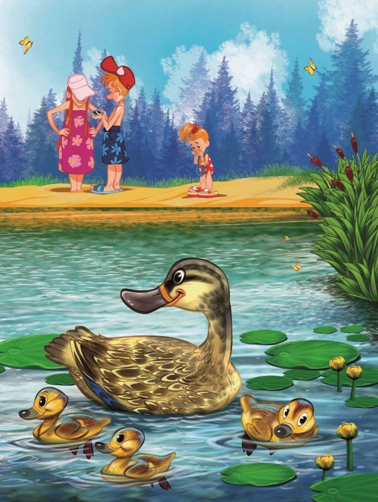 Мистер Ракушка фото книги 4