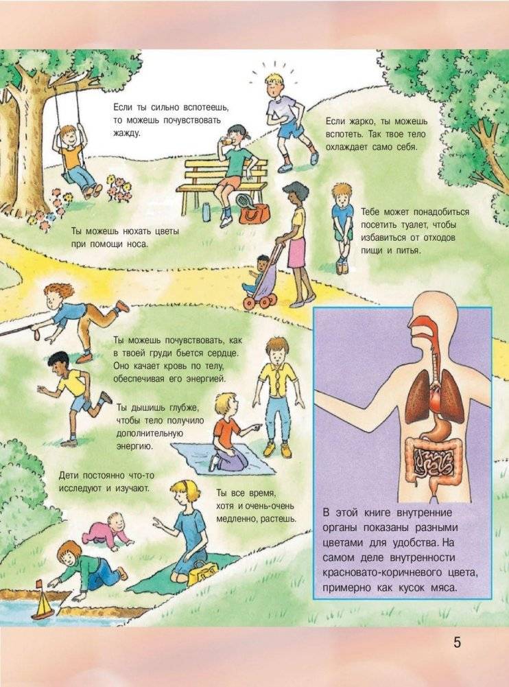 Иллюстрированная энциклопедия отчего и почему фото книги 6