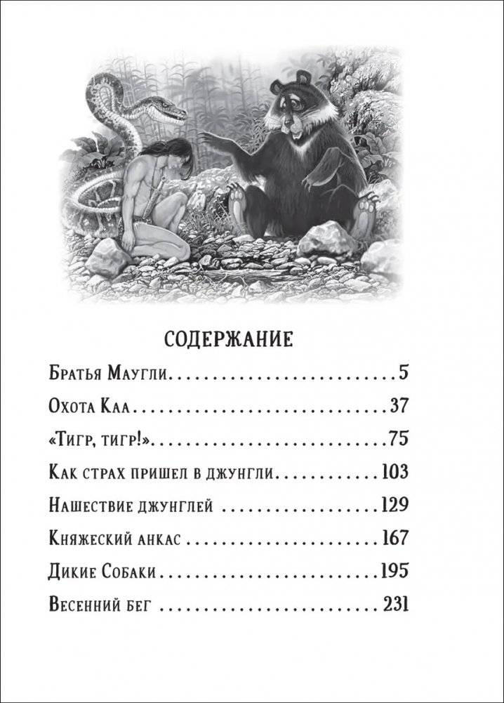 Маугли фото книги 2