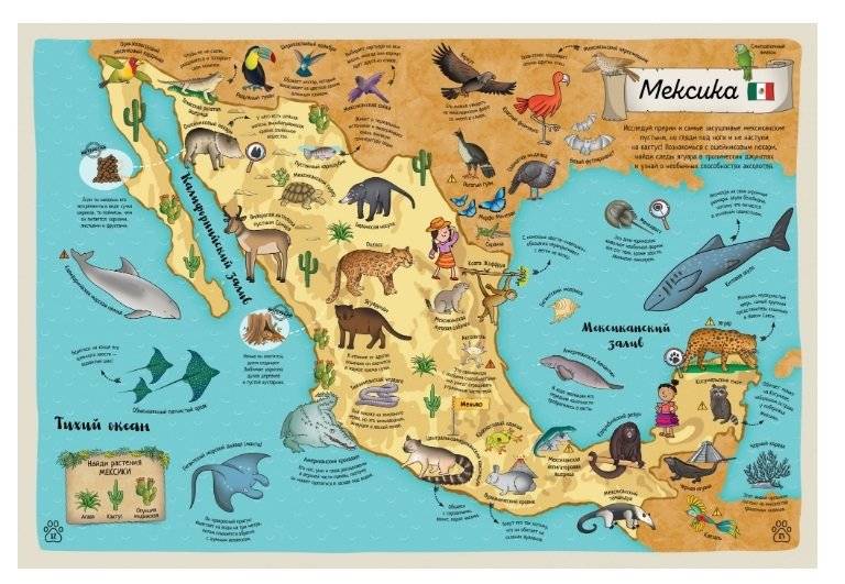 Гигантский атлас животных мира фото книги 5