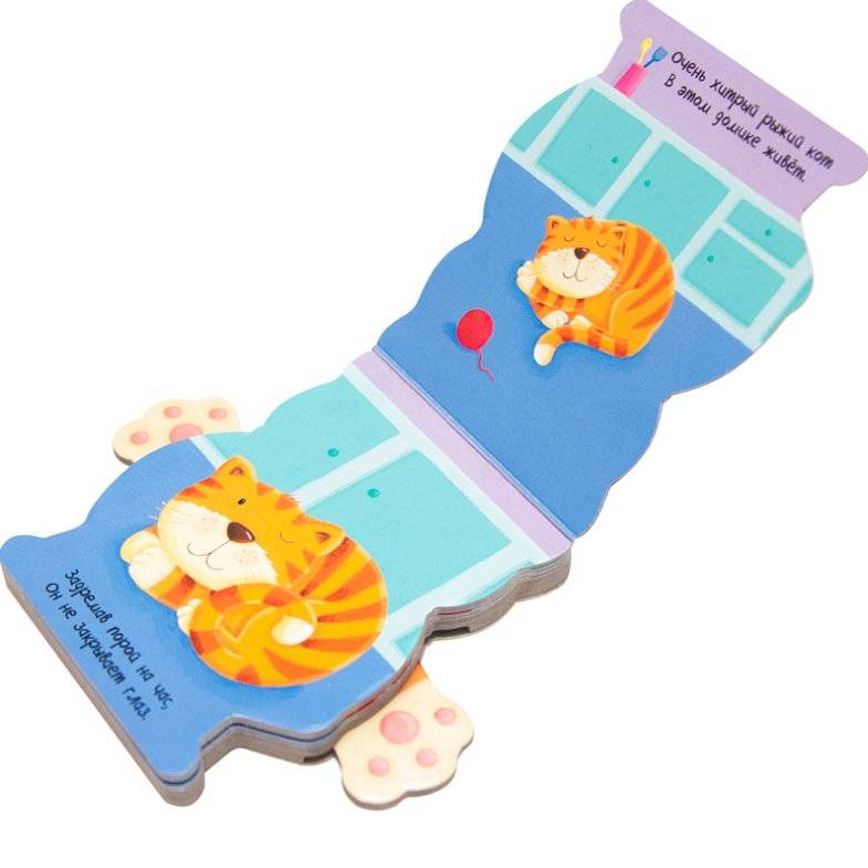 Я котик фото книги 2